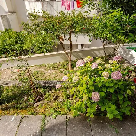 Misho With Terrace Split