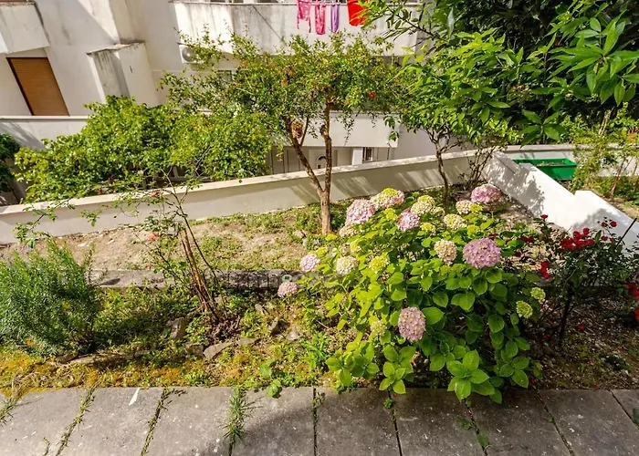 Misho With Terrace Сплит