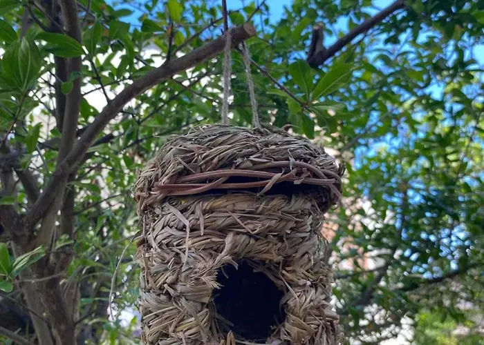 Misho With Terrace Апартаменты Сплит